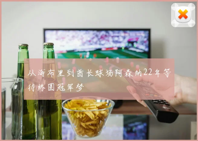 从海布里到酋长球场阿森纳22年等待终圆冠军梦