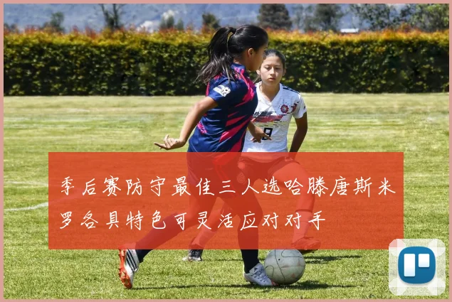 季后赛防守最佳三人选哈滕唐斯米罗各具特色可灵活应对对手